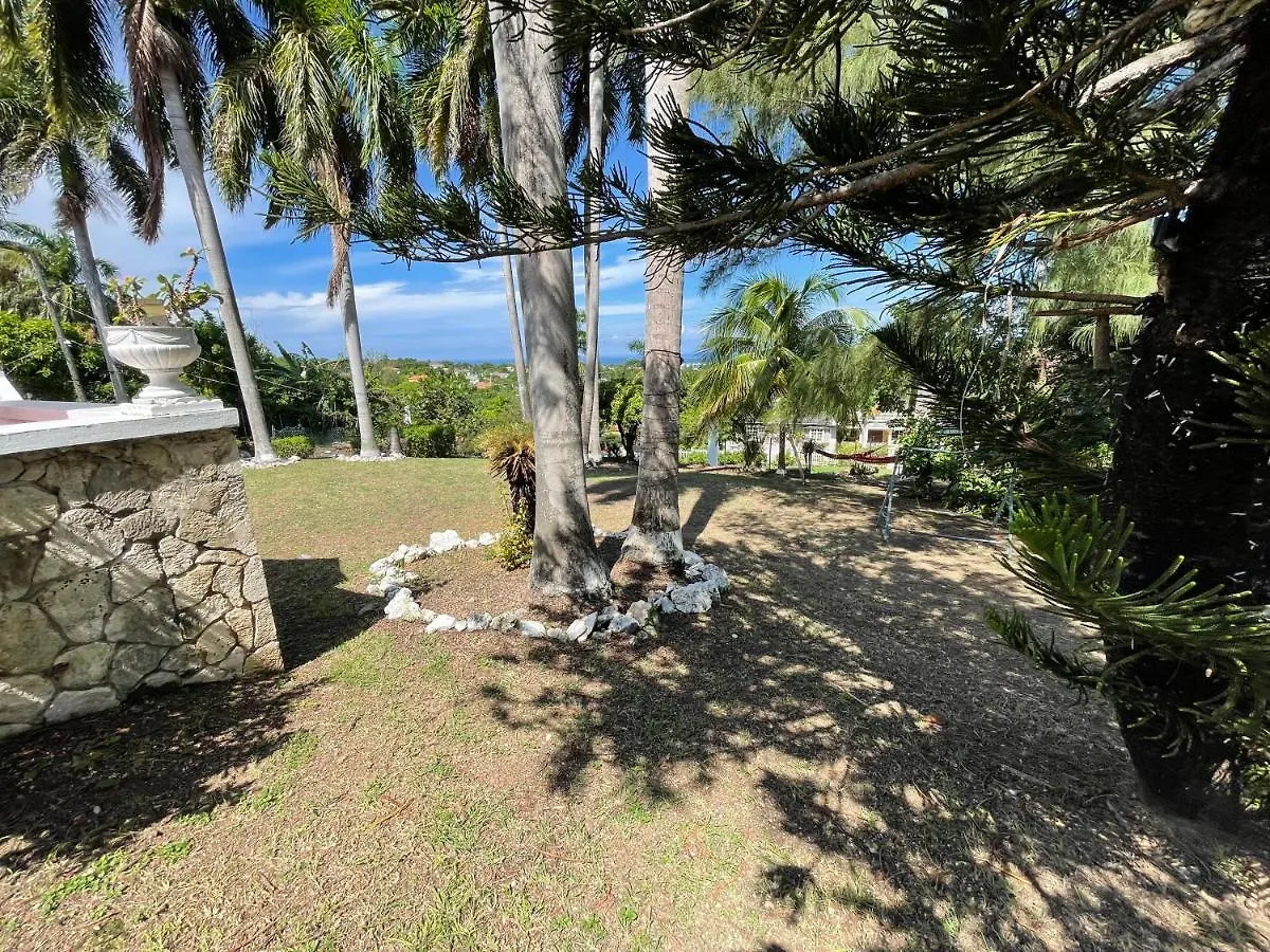Hostel The Lodge @ Peaceful Palms Montego Bay