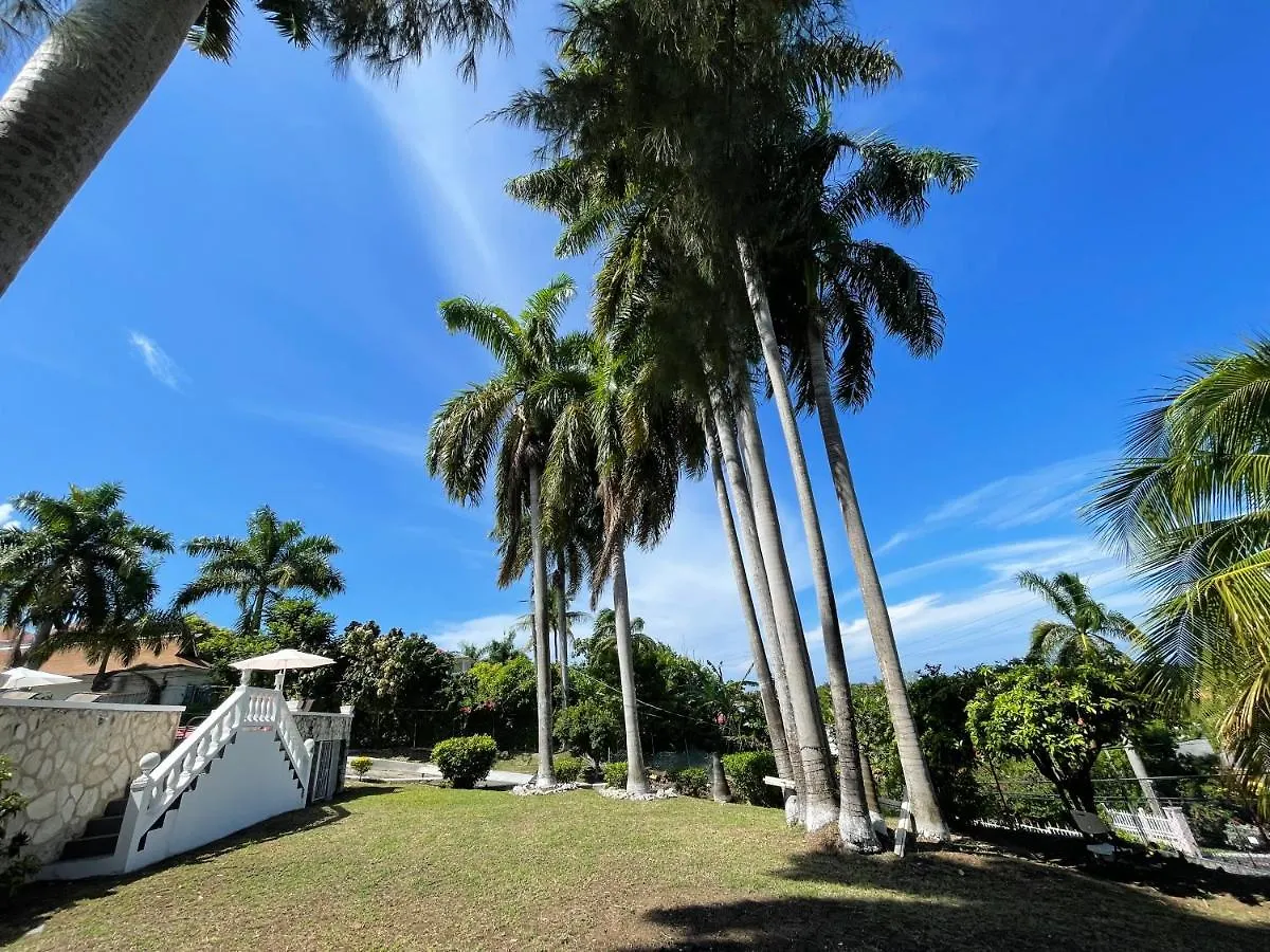 The Lodge @ Peaceful Palms Montego Bay Jamaica