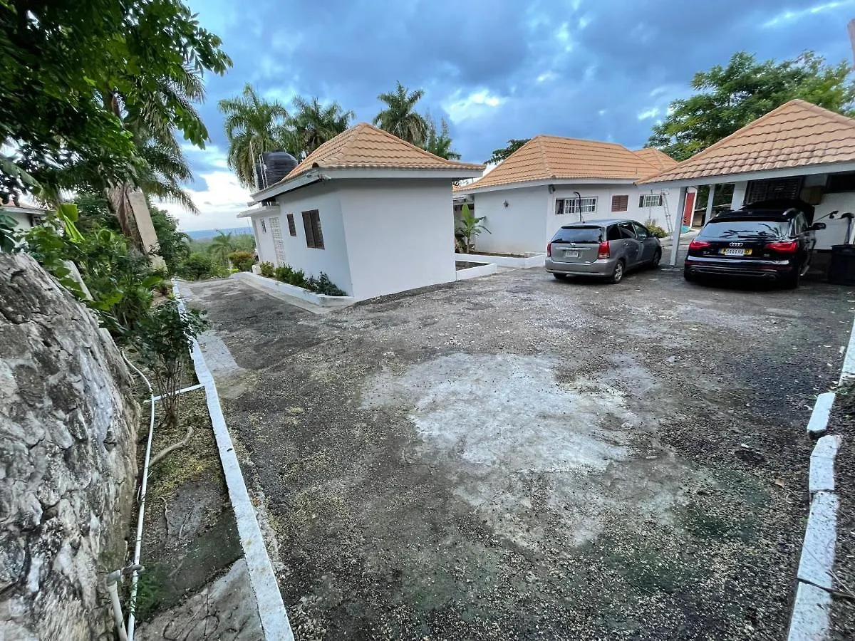 The Lodge @ Peaceful Palms Montego Bay Hostel