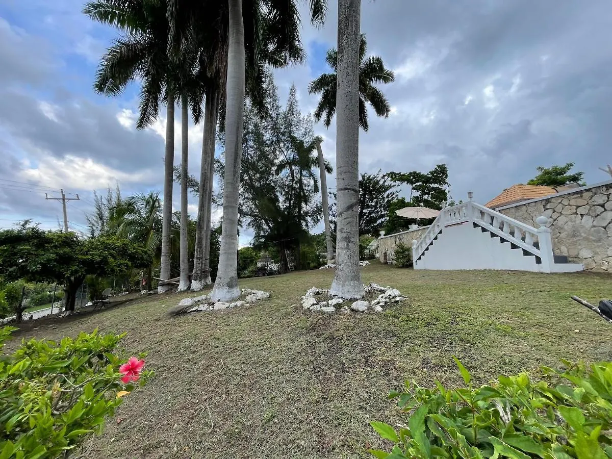 Hostel The Lodge @ Peaceful Palms Montego Bay