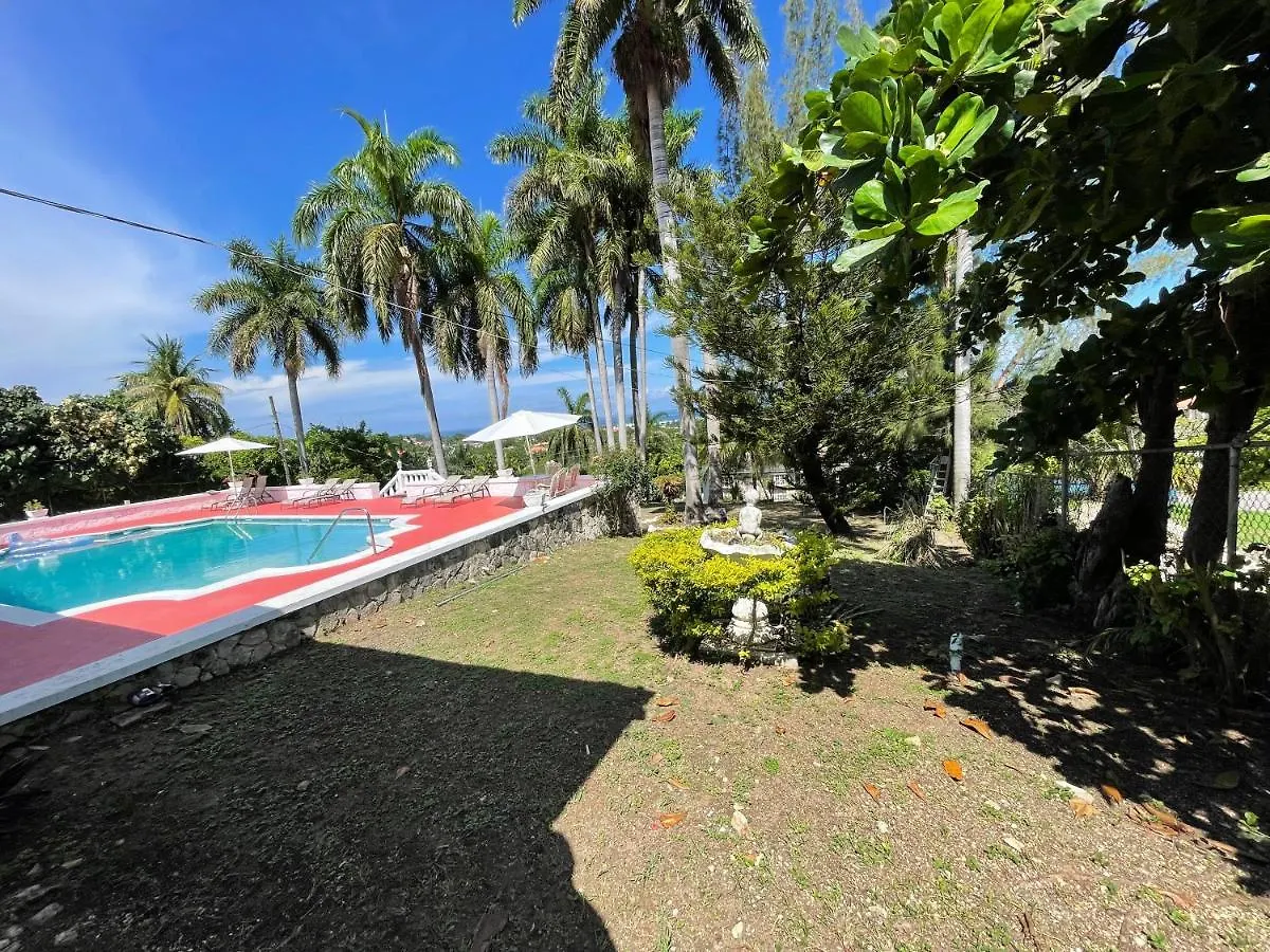 The Lodge @ Peaceful Palms Montego Bay Jamaica