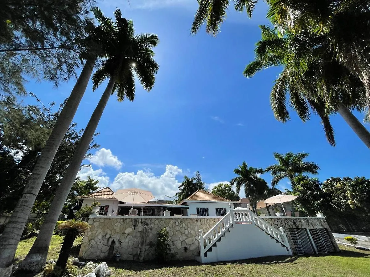 The Lodge @ Peaceful Palms Montego Bay Hostel